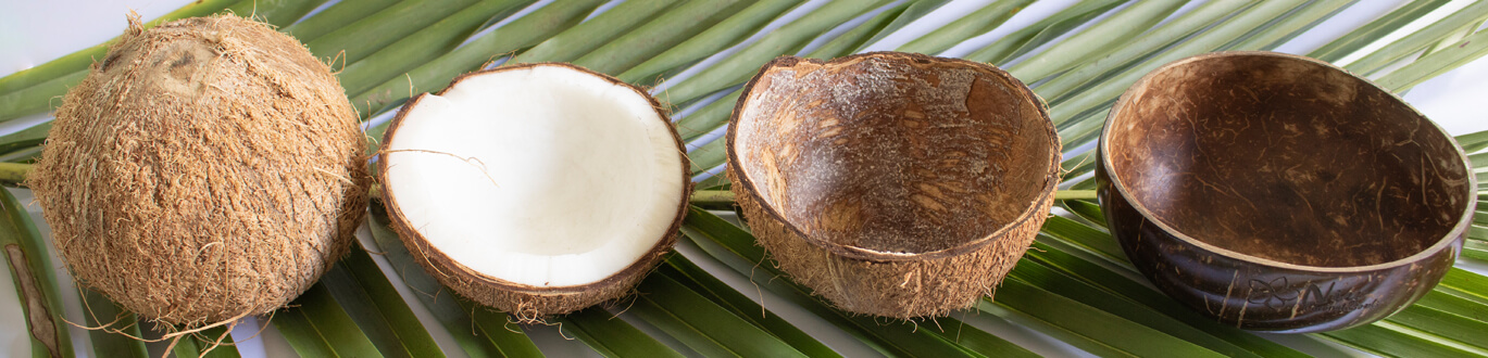 Coconut shells for massage products