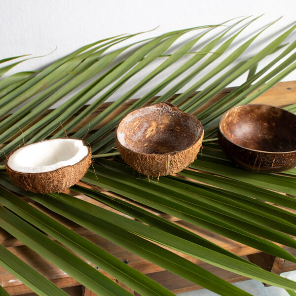 Coconut Bowls Dessert