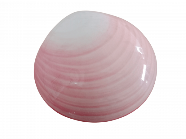 NEU LavaShell Porzellan Muschel - neues Design